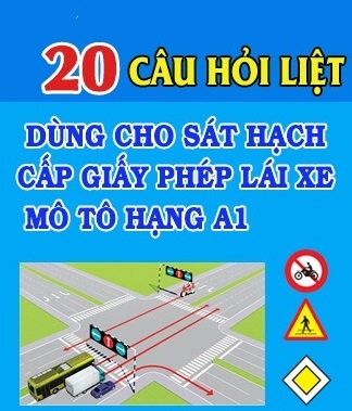 thi thử 20 câu hỏi điểm liệt a1